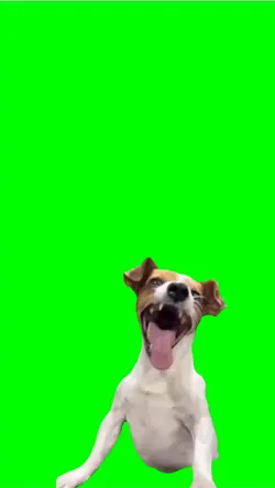 dog very laughing