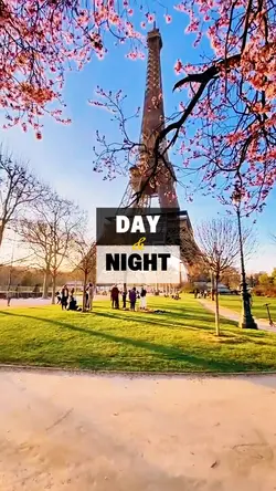 Day N Night