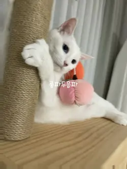ㅎ