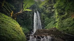 Waterfall Cinematic