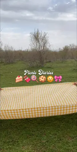 picnic diaries