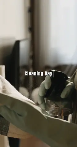Cleaning Day