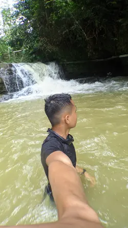 perintis
