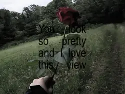 we fell in love