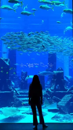aquarium vlog