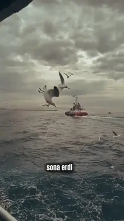 yeni şablon 