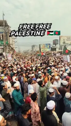 Palestine template 
