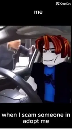 POV 