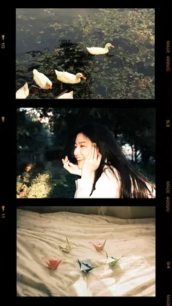 Frame 3 foto