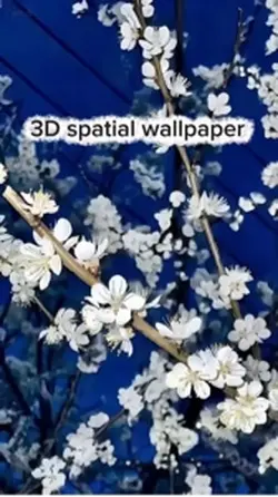 3D spatial wallpaper