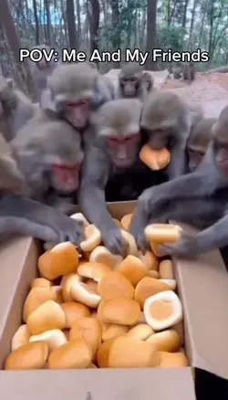 Me and my friends