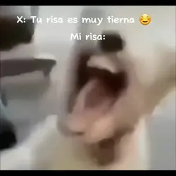 Mi risa: