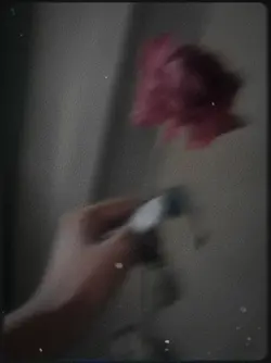 তোর কারনে ভুললাম... 