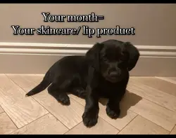 Hehe