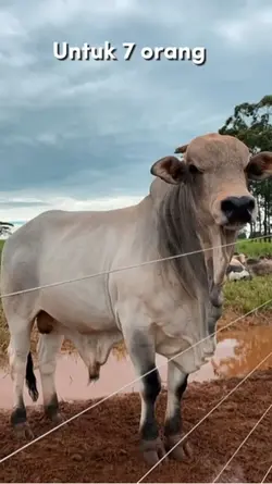 Untuk kamu seorang♥️ 