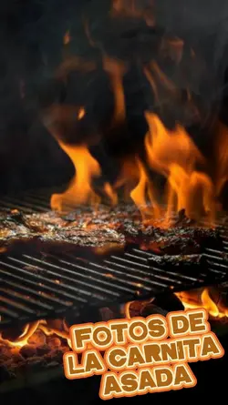 CARNITA ASADA