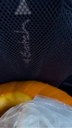 Kürbis schnitzen🎃