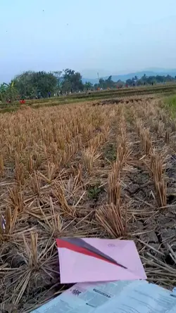 mana jawara lang