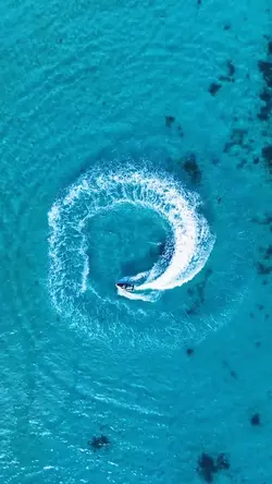 Transition Edit