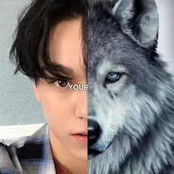 alpha wolf pfp