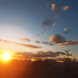 miraba al cielo
