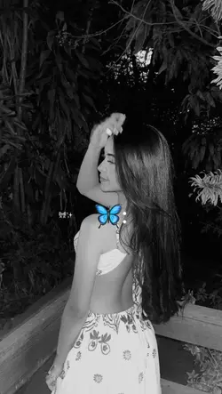 modelo capcut 