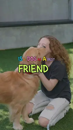 my dog