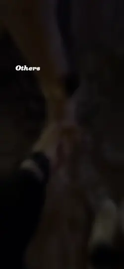 ..