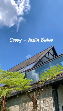 Sorry - Justin B