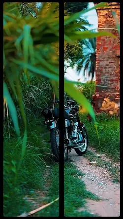 Honda 125 Trending 