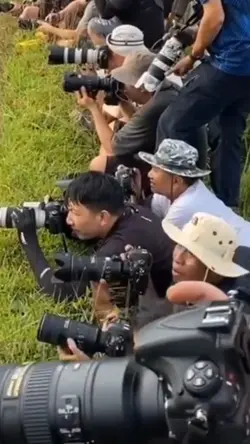 foto model