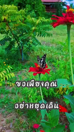 อย่าหยุดเดิน