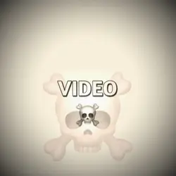 Skull Freeze 1:1