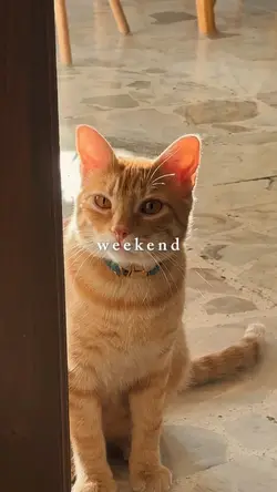 Weekend Story