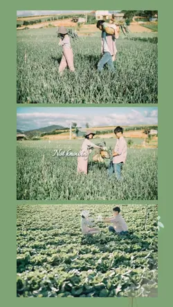 khung 6 ảnh/video 