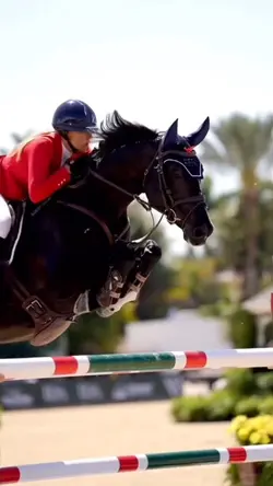 THIS HORSE😻😻