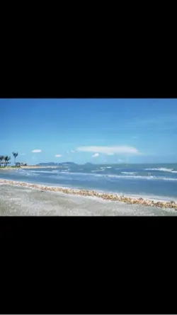 Tình yêu 