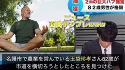 ニュース面白テンプレwww