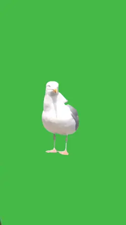 Dancing bird