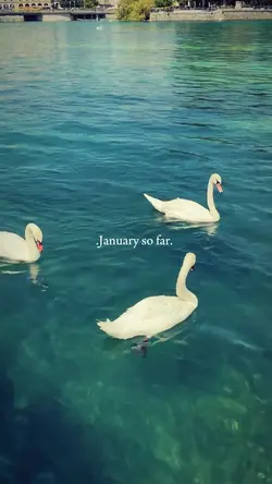January so far