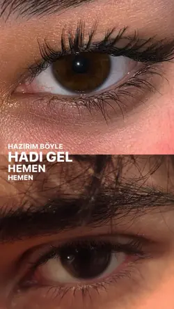 Trend şablon