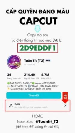 T2-CẤP QUYỀN CAPCUT