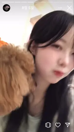 2024 정리 템플릿