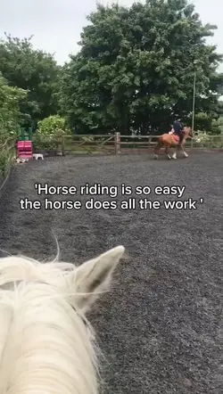 The 'easy' sport