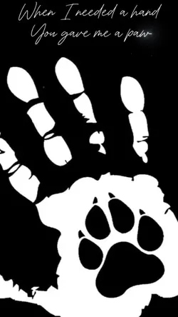 You gave me a paw