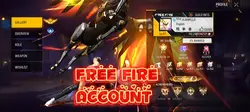 Free fire profile