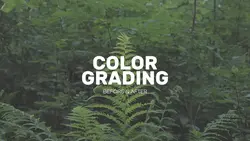 COLORGRADING 
