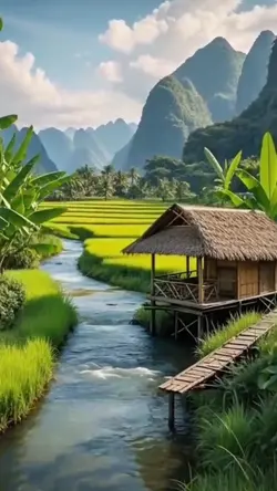 AIGayaLokal
