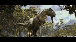 Movie Clip 4k