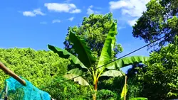 Phim 3 người